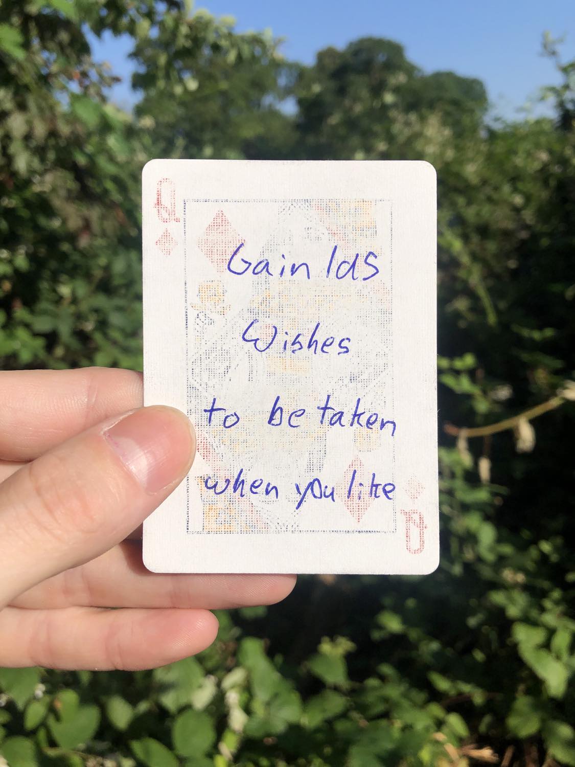 The queen of diamonds, held with the trees and foliage behind. Gain 1d5 wishes to be taken when you like.