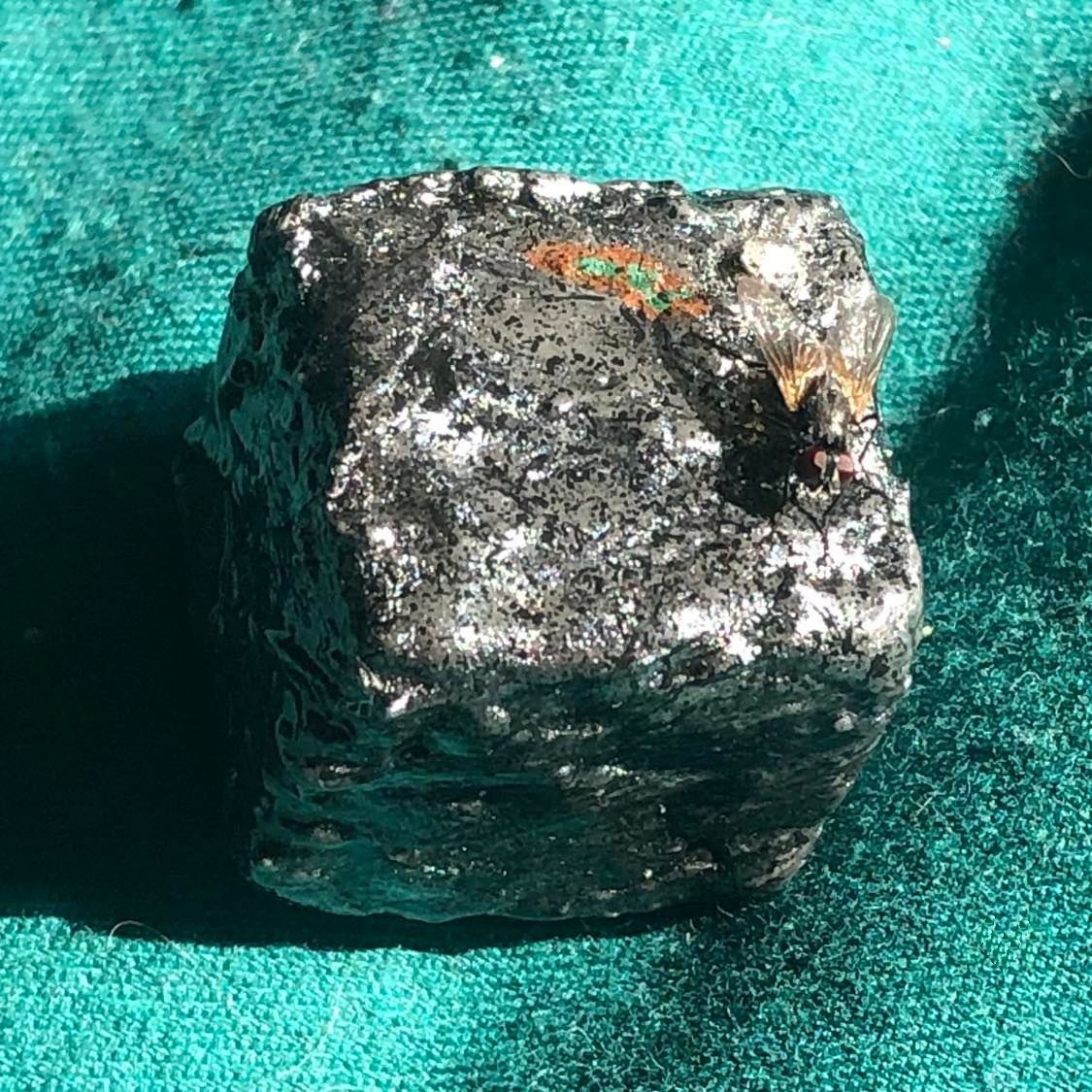 The cube of Kolyoral, a rough silver-grey cube with many small black speckles, and showing the garden and the iron fortress of Zandikar. A housefly is perched on top of the cube, guarding the fortress.