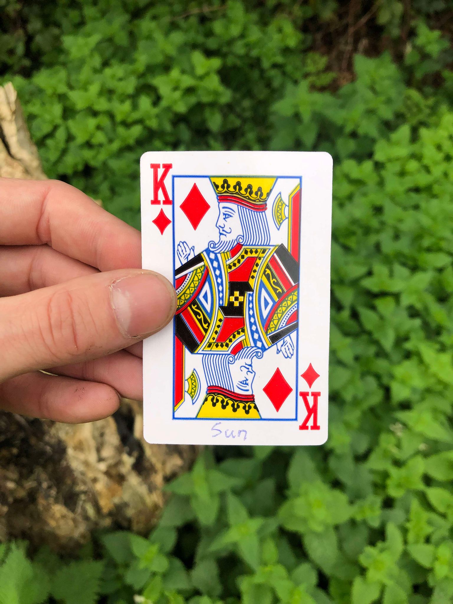 Holding up the card, the stump and foliage visible behind it, your fate is sealed.