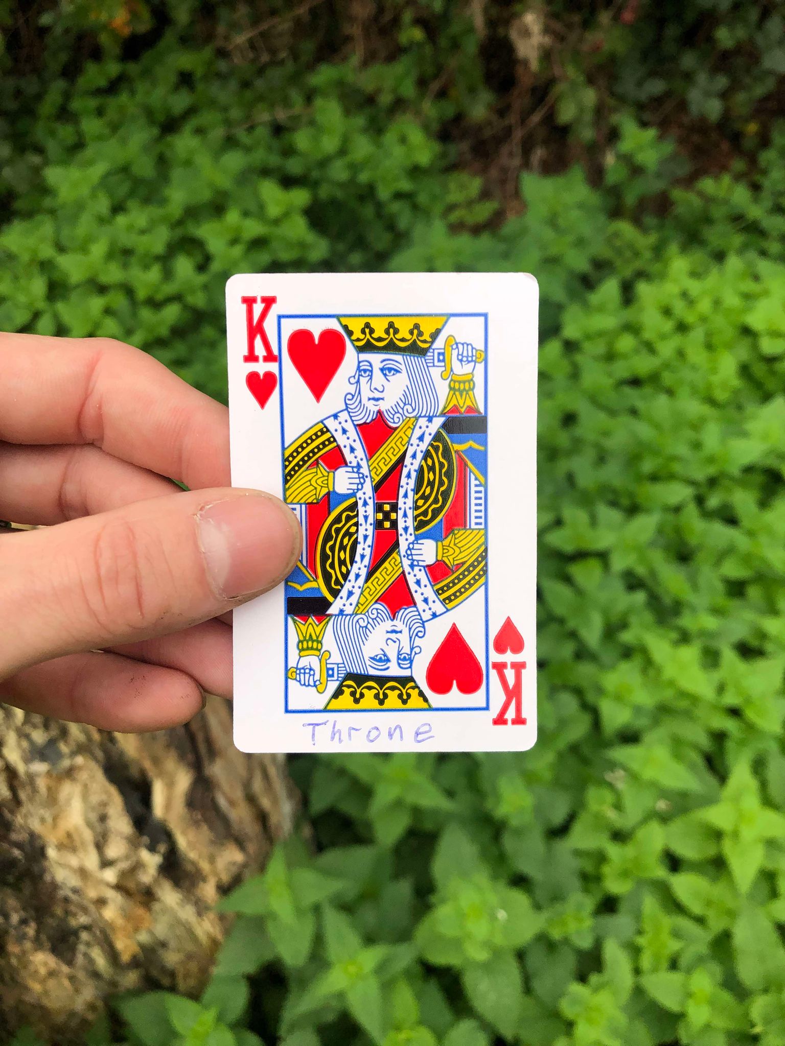 Holding up the card, the stump and foliage visible behind it, your fate is sealed.