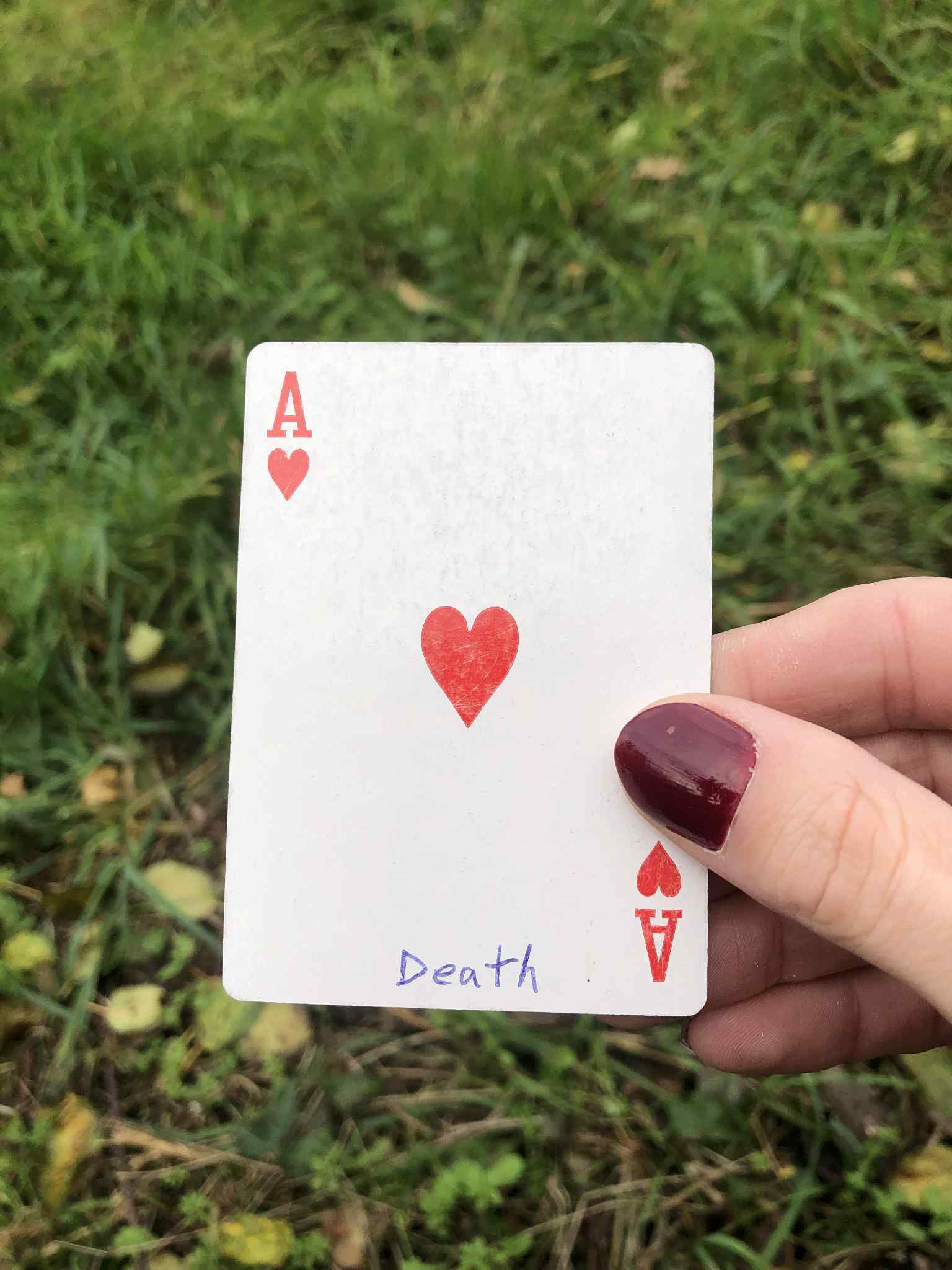 Crouched in the grass, you hold the drawn card before you.
