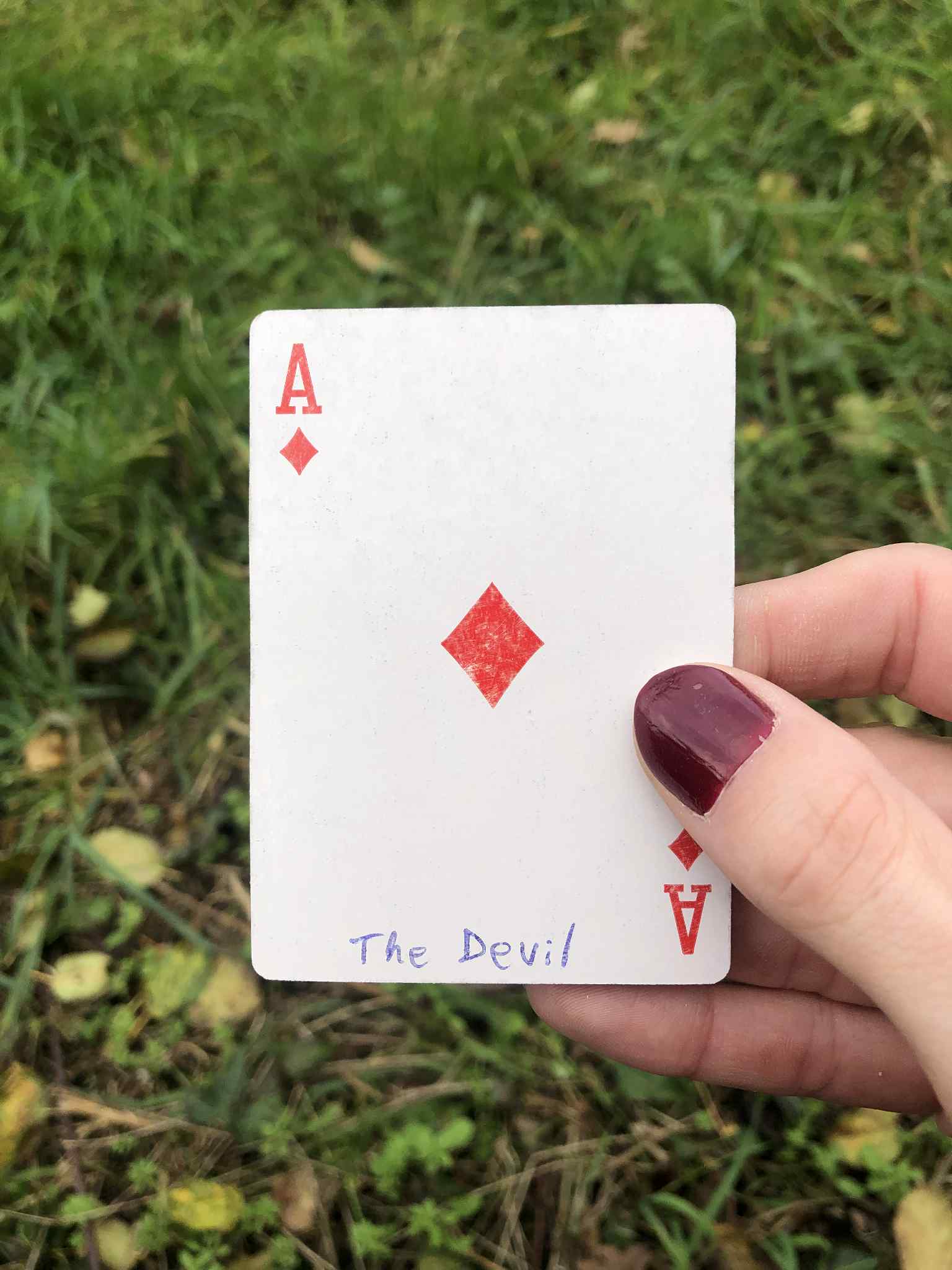 Crouched in the grass, you hold the drawn card before you.