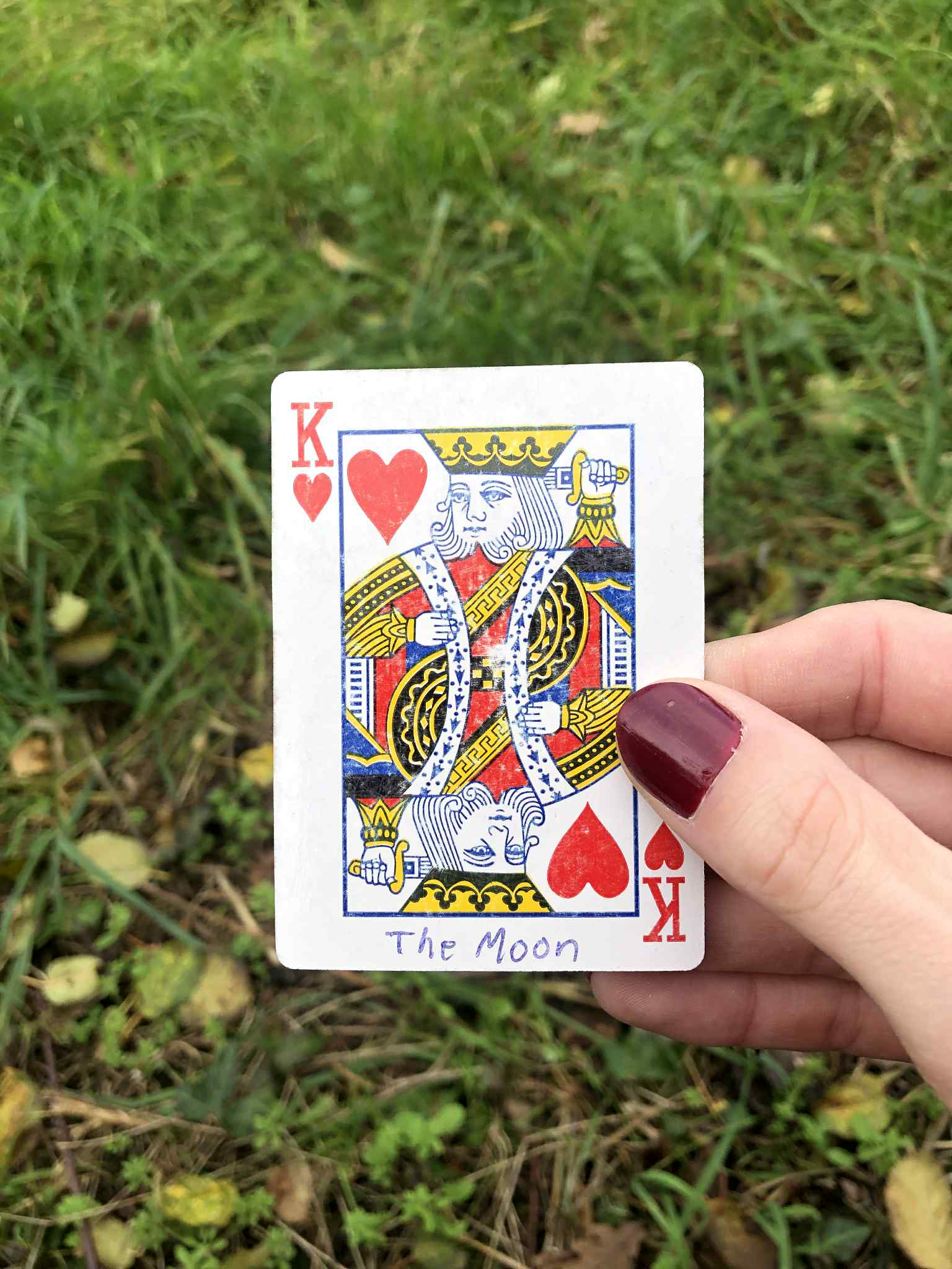 Crouched in the grass, you hold the drawn card before you.