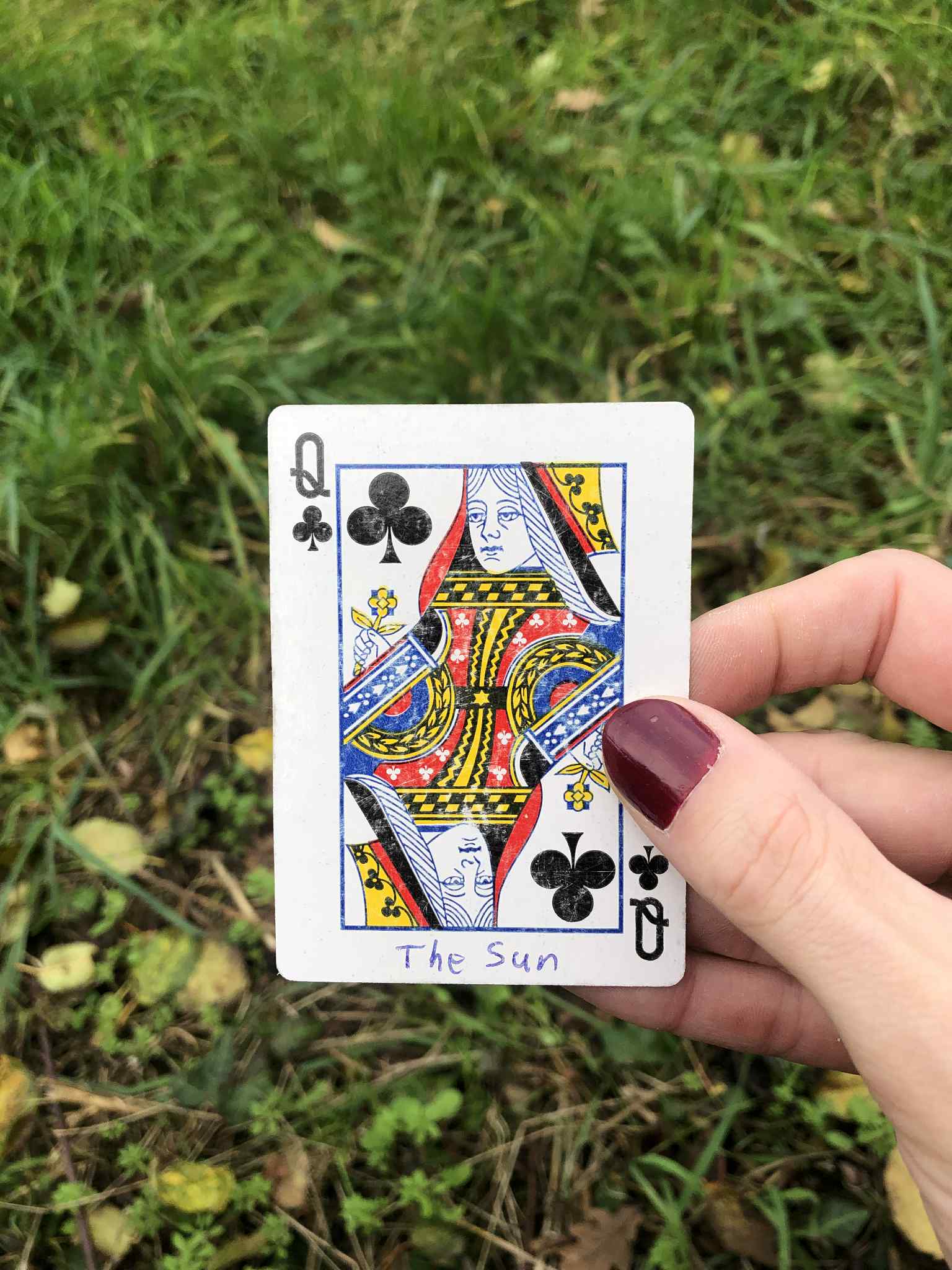 Crouched in the grass, you hold the drawn card before you.