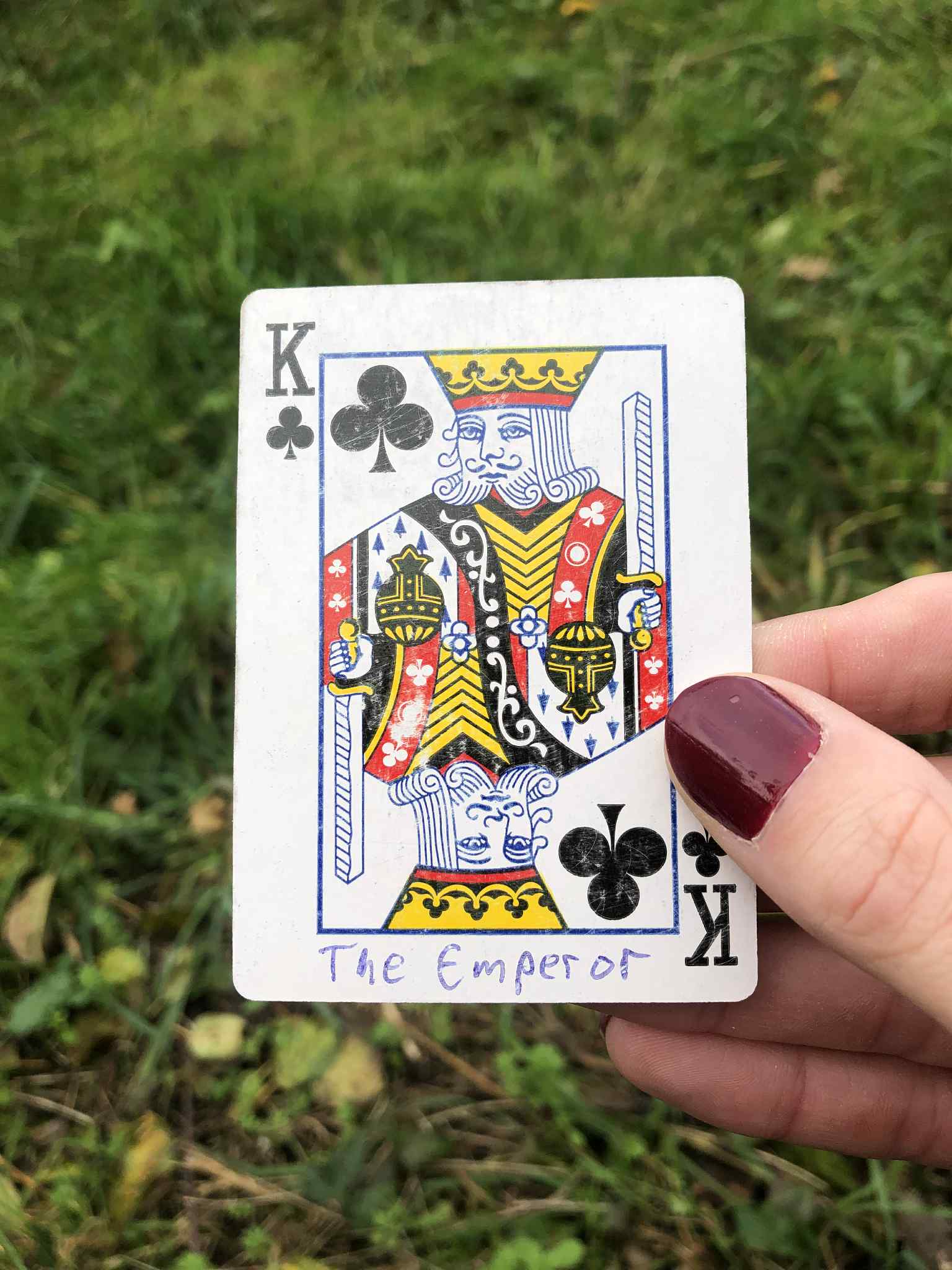 Crouched in the grass, you hold the drawn card before you.