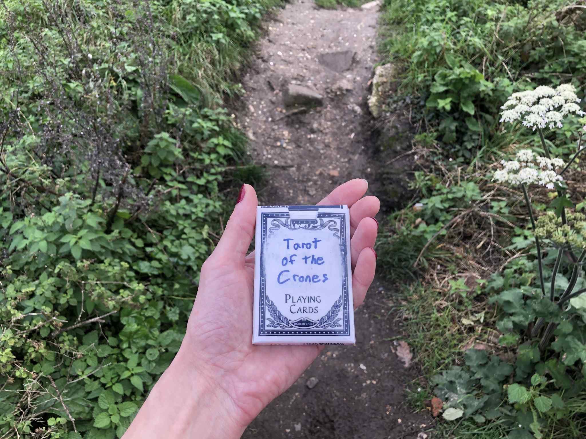 The Tarot of the Crones, a magical deck of cards, being taken on an adventure down a rocky forest trail.
