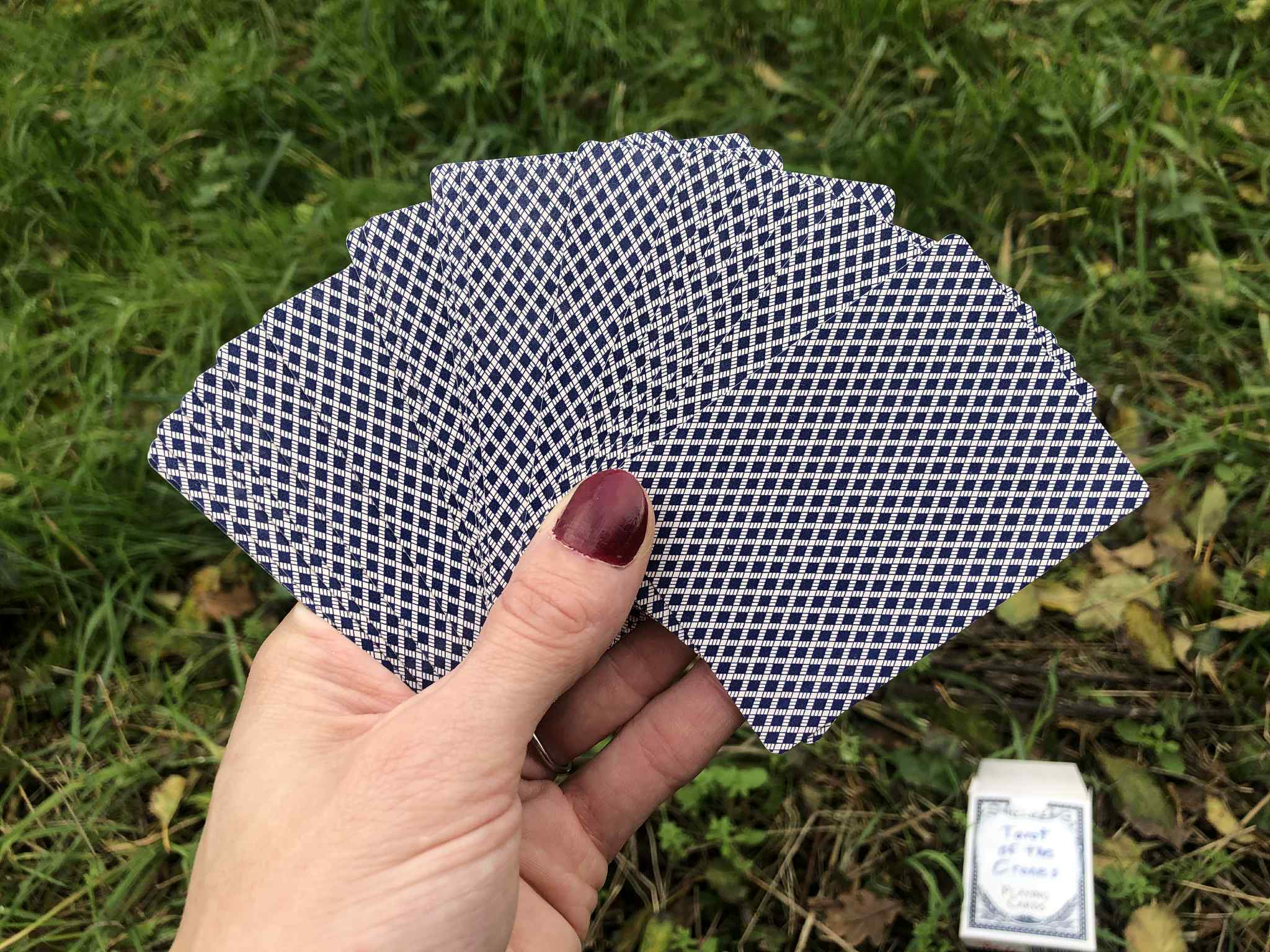 The cards all spread out in your hand, you crouch by the side of the trail and prepare to draw one.