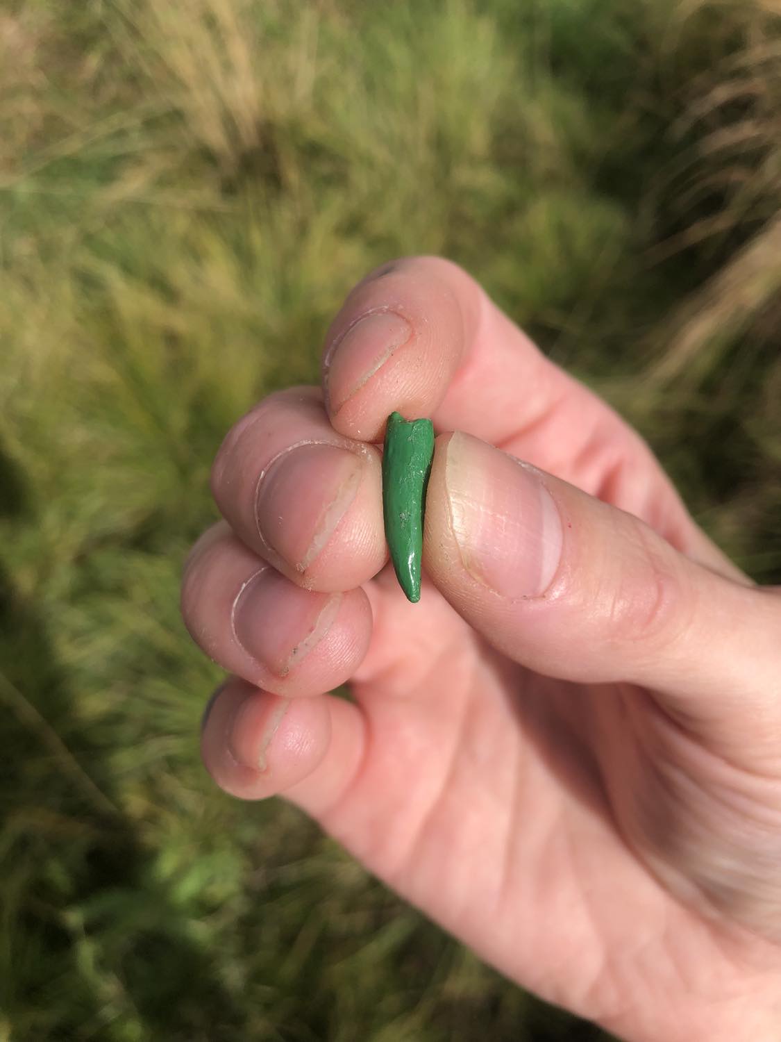 A green crystaline lizardfolk fang