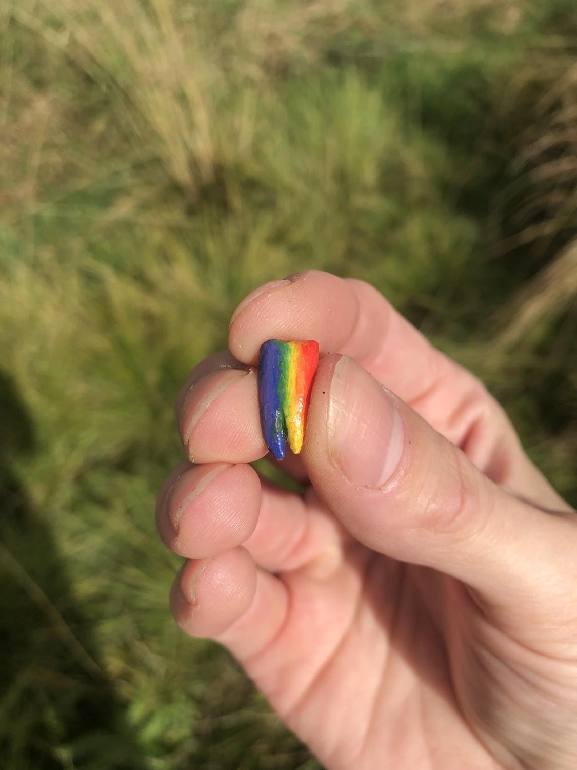 A rainbow donkey molar